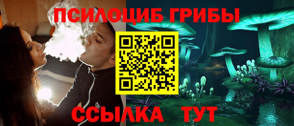 Галлюциногенные грибы Cubensis Карачаевск