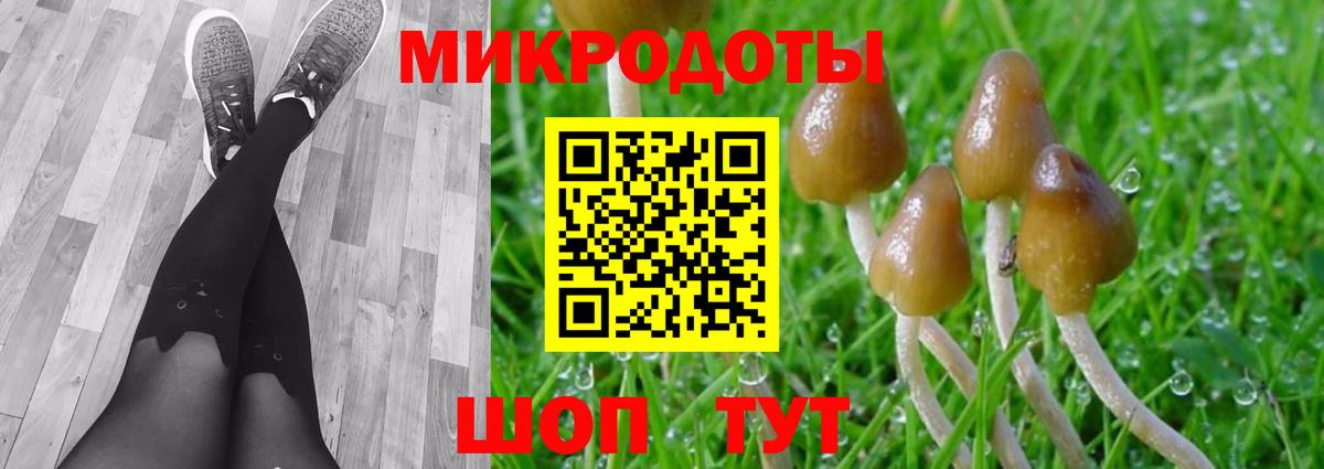 Галлюциногенные грибы MAGIC MUSHROOMS  Галлюциногенные грибы прущие грибы  Вход с VPN  Карачаевск 