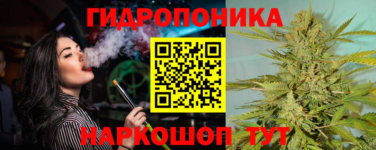 Карачаевск  Каннабис VHQ  Бошки марихуана White Widow  Бошки марихуана конопля  Вход с VPN 